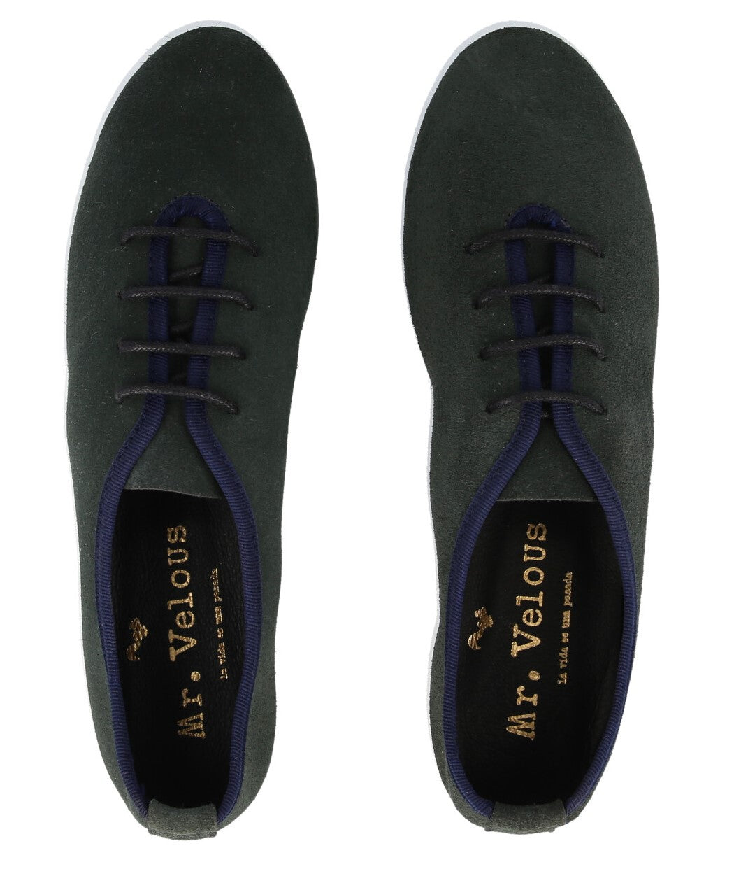 Zapato Edy · Bosque